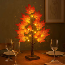 Autumn Maple Tree