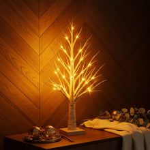 Enchanted Birch Tree