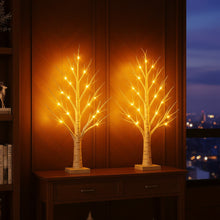 Enchanted Birch Tree