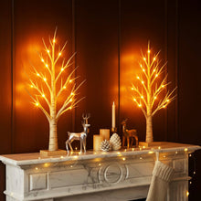 Enchanted Birch Tree