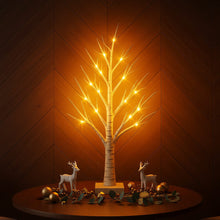 Enchanted Birch Tree