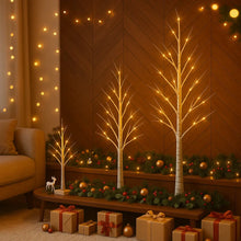 Enchanted Birch Tree