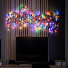 Enchanted Color Vine