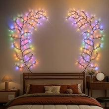 Enchanted Color Vine