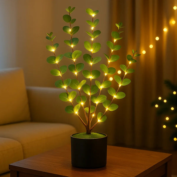 Eucalyptus Glow Tree