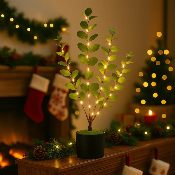 Eucalyptus Glow Tree