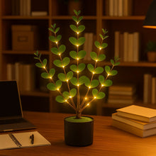 Eucalyptus Glow Tree