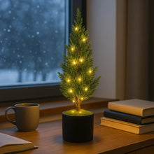 Evergreen Glow Tree