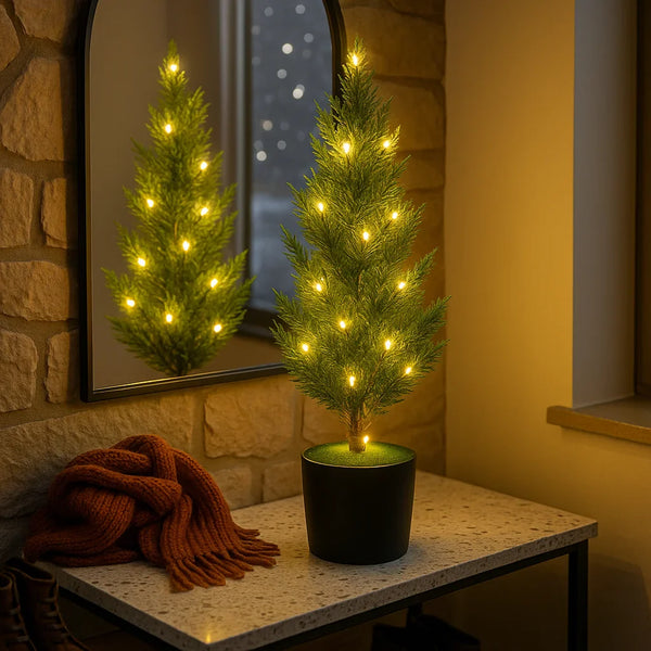 Evergreen Glow Tree
