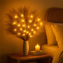 Feathered Grass Light