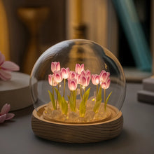 Glow Tulip Dome