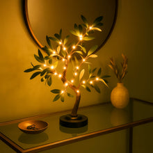 Olive Glow Tree