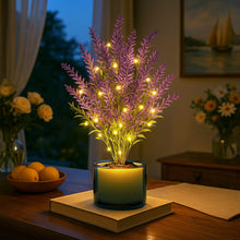 Lavender Dream Lamp