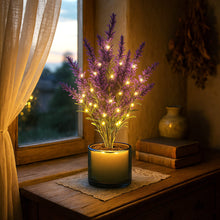 Lavender Dream Lamp