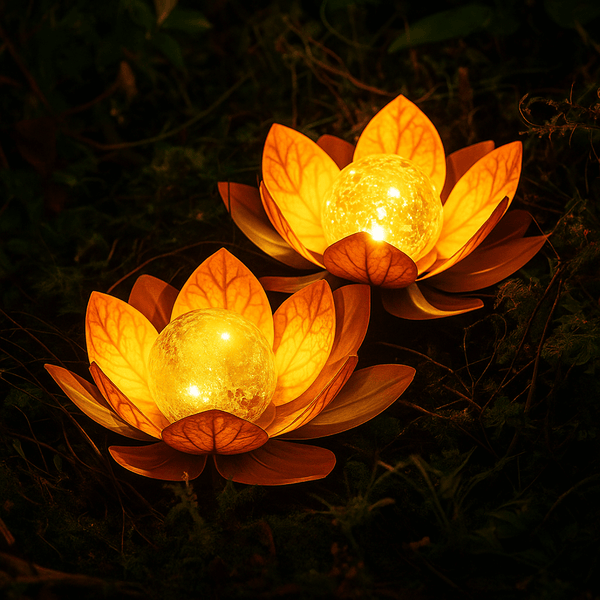 Lotus Radiance Lights