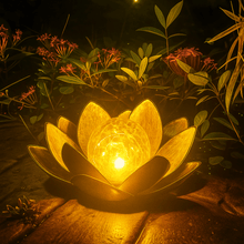 Lotus Radiance Lights