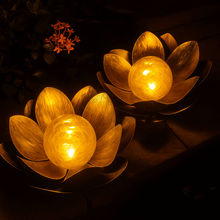 Lotus Radiance Lights
