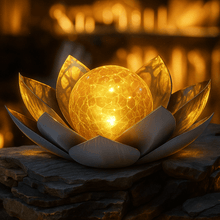 Lotus Radiance Lights