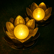Lotus Radiance Lights