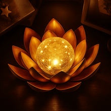 Lotus Radiance Lights