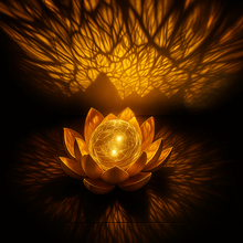 Lotus Radiance Lights