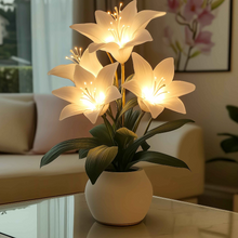 Luminous Lily Lamp