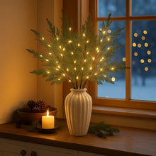 Luminous Cedar Branches