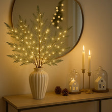 Luminous Cedar Branches