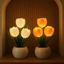 Luminous Tulip Light