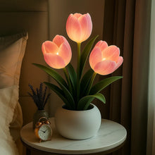 Luminous Tulip Light