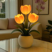 Luminous Tulip Light