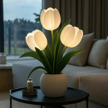 Luminous Tulip Light