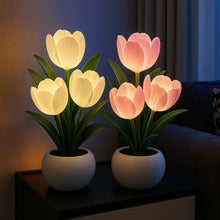 Luminous Tulip Light