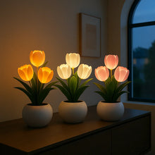 Luminous Tulip Light