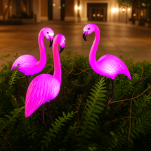 Pink Flamingo Lights
