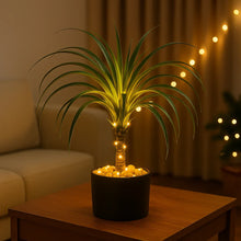 Ponytail Palm Lamp