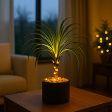 Ponytail Palm Lamp