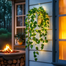 Radiant Ivy Lights