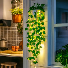 Radiant Ivy Lights