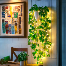 Radiant Ivy Lights