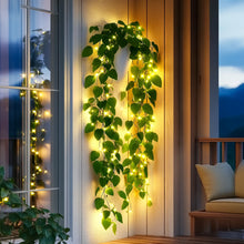 Radiant Ivy Lights