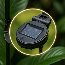 Butterfly Glow Solar Light