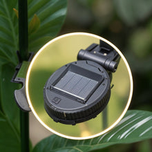 Radiant Rose Garden Light