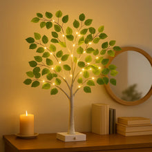 Sparkle Ficus Tree